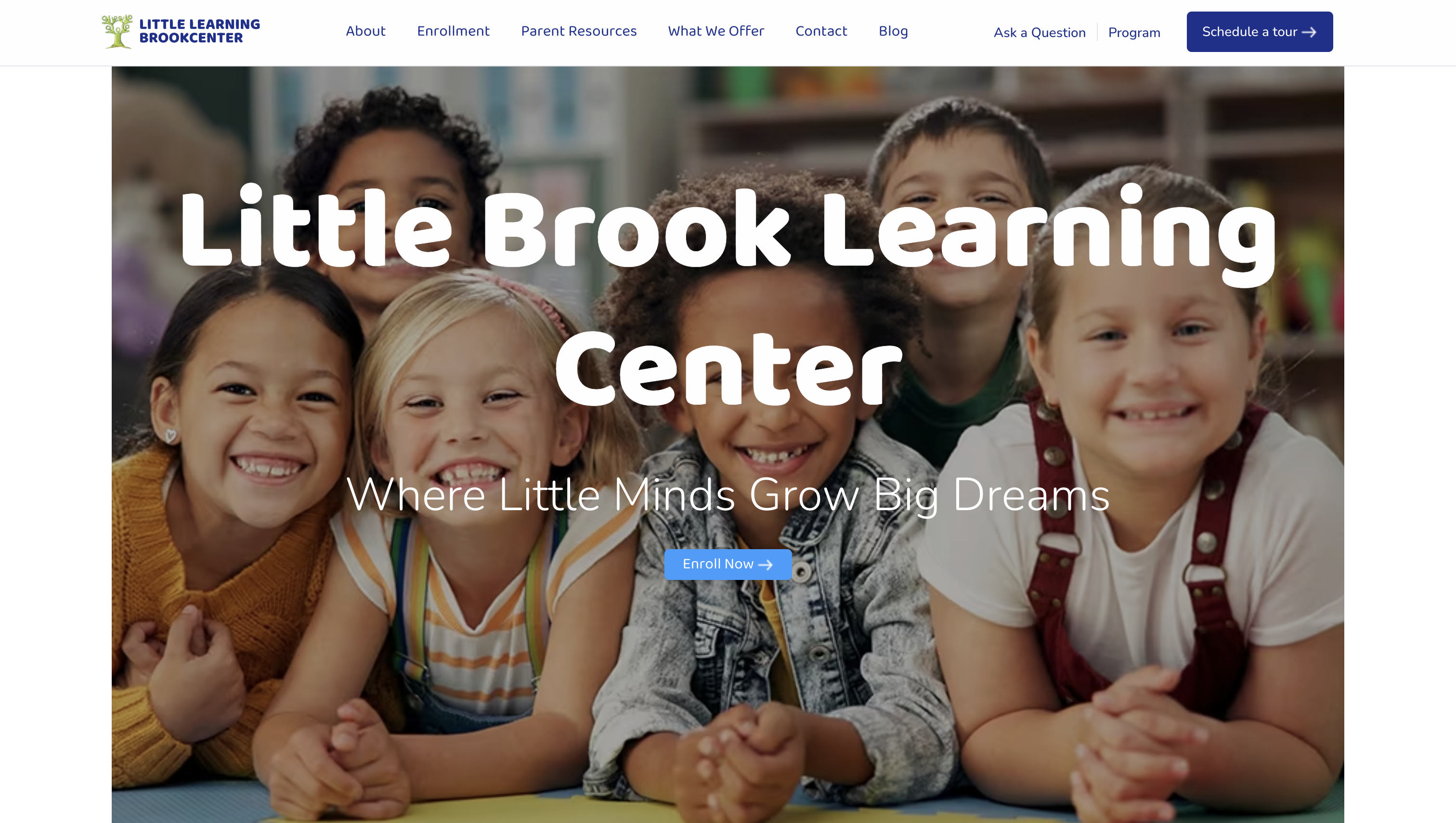 Little Brook Learning Center Website